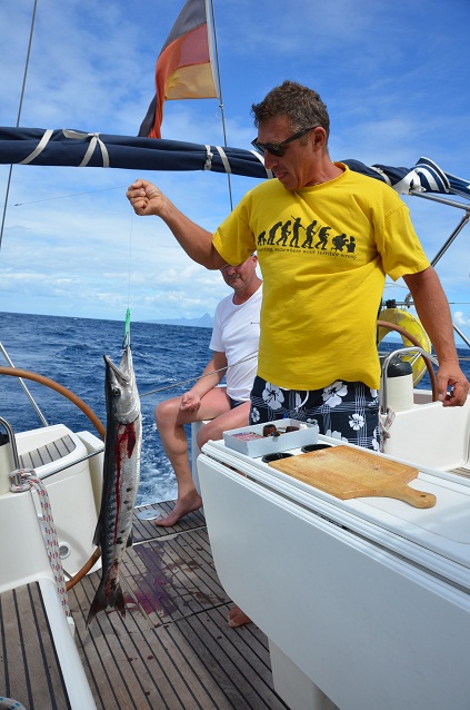 Barracuda frisch geangelt in der Karibik