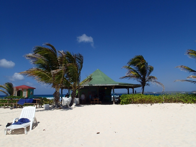 Sandy-Island-bei-Anguilla_6-Palmen_1-Bar