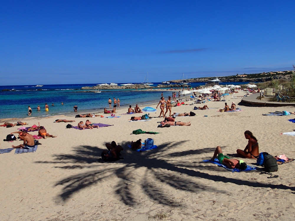 Im Palmenschatten an Formenteras Küste