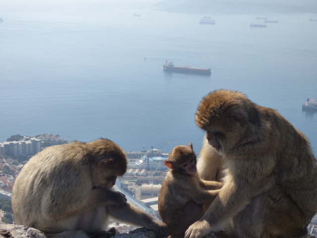 Blick vom Affenfelsen in Gibraltar aus