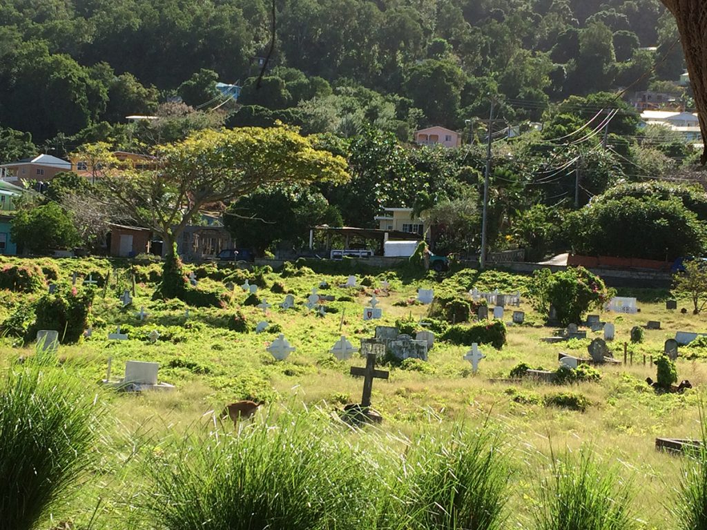 Der herrlich überwachsene Friedhof von Bequia