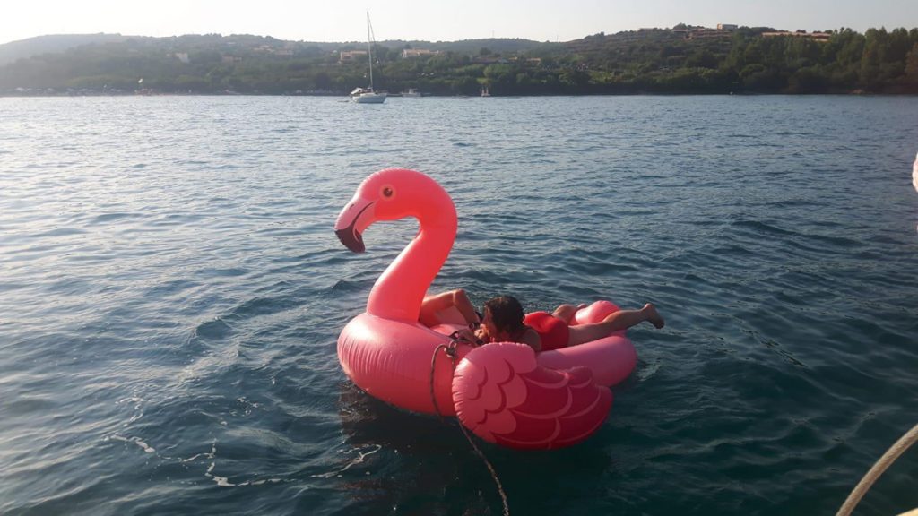 Flamingo für Fortgeschrittene