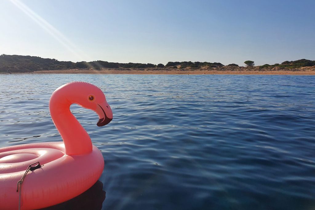 Die perfekte Ankerbucht für unseren Flamingo