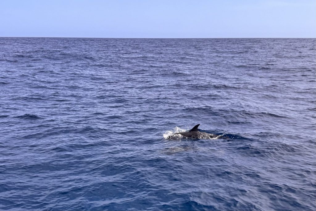 Atlantiküberquerung